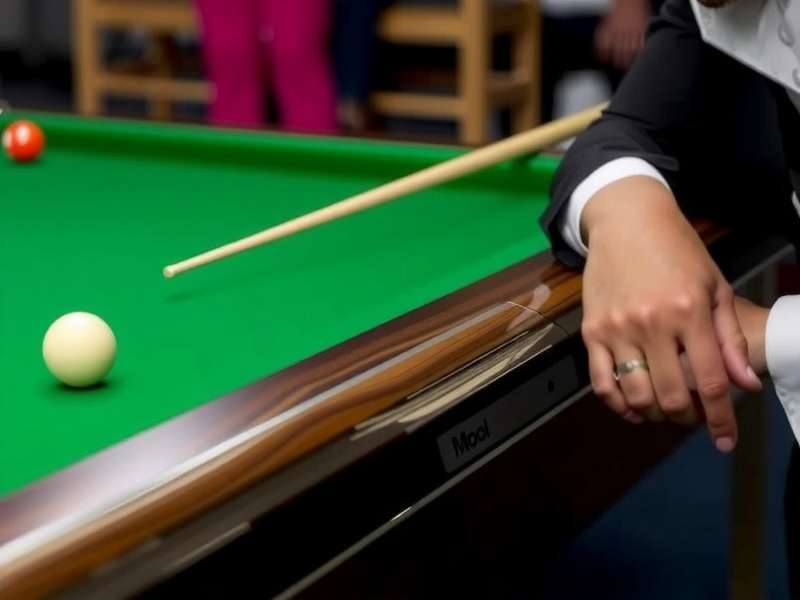 India 8 Ball Maestro Cue Customization